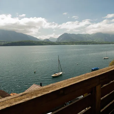 Lakeside With Panorama View Thoune